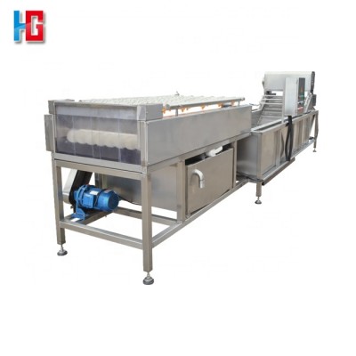 Citrus Brush Roller Washing Machine Apple Orange Washer Processing Line