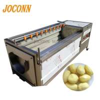 stainless steel lemon washing machine/ eggplant brush roller washing machine/ tapioca washing peeling machine